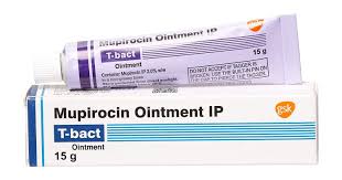 T BACT 15GM BIG OINT