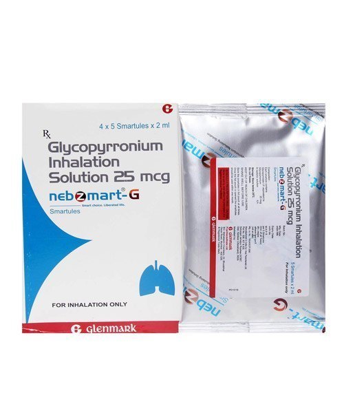 NEBZMART G SMARTULES SHEET